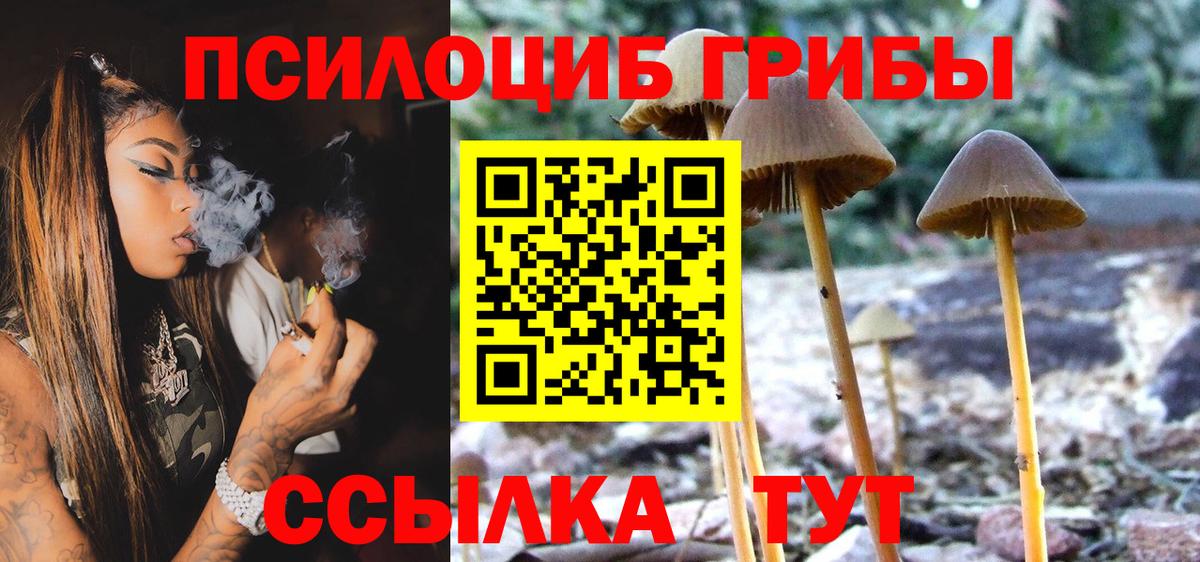 где найти   Псилоцибиновые грибы ЛСД  Вход с VPN  Биробиджан 